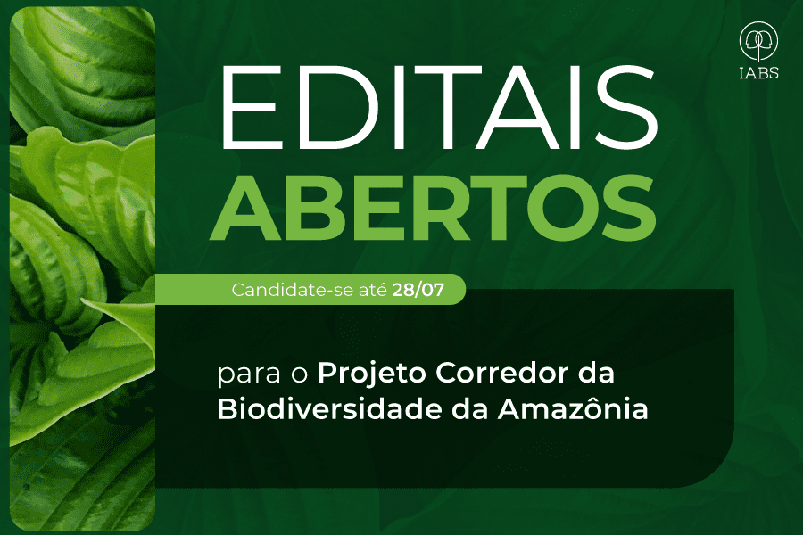Oportunidades abertas para serviços especializados no Corredor de Biodiversidade da Amazônia