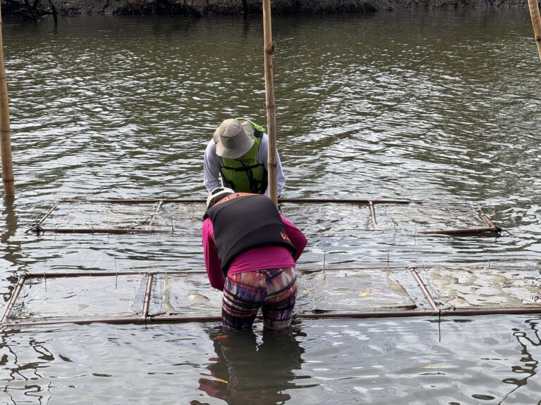 Ostras e Comunidades (3)