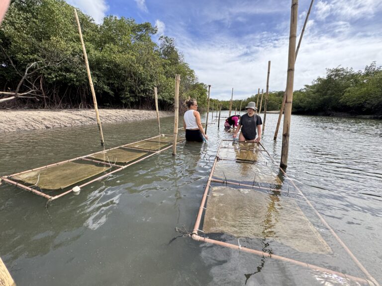 Ostras e Comunidades (4)