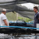 Cultivo de tilápia em tanques suspensos da ASPA, na Comunidade de Areal, Linhares (ES)