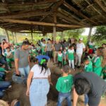 Viveiros comunitários no assentamento  São Jorge, Cinelândia (MA)