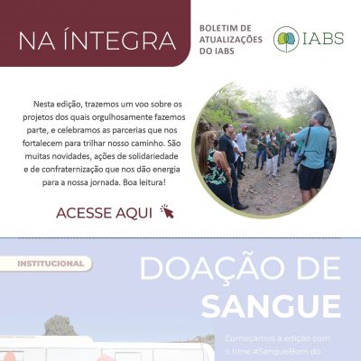 Na_integra_#46_mailchimp